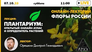 Лекция Дмитрия Орешкина \