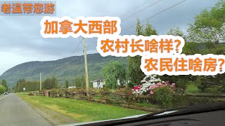 老温带您游-加拿大西部农村长啥样？农民住啥房？