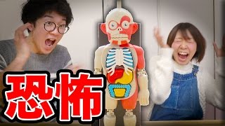 【恐怖】暴れる人体模型対決してみたら…【ボンボンTV vs 251】