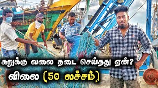 சுறுக்கு வலையின் விலை தெரியுமா? தடை செய்தது ஏன்?|| Kasimedu Fisherman | Tamil