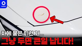 차에 이런 거 묻은 적 있으세요??