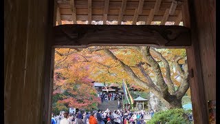 「大興善寺の紅葉2017」 4K撮影