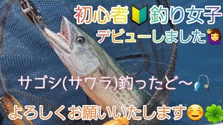 初心者🔰釣り女子～デビュー🙋‍♀️ サゴシ(サワラ)釣り料理しました🥰