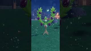 Evolving SMOLIV to ARBOLIVA in Pokemon Scarlet \u0026 Violet