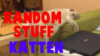 Katten Fails (Random Stuff 4)