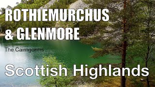 Exploring the Rothiemurchus Estate and Glenmore Forest, Cairngorms, Scottish Highlands