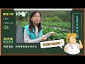 【ipm小學堂】第一次操作ipm就上手：草莓篇 part2（治療）