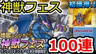 DQMSL 神獣フェスガチャ100連 キングスペーディオを目指す！！！