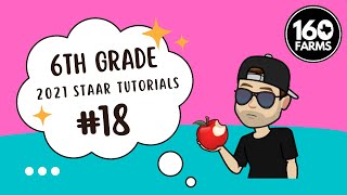 2021 6TH STAAR #18
