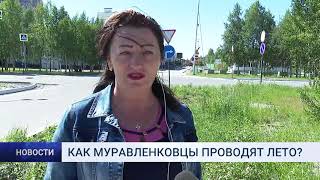 КАК МУРАВЛЕНКОВЦЫ ПРОВОДЯТ ЛЕТО