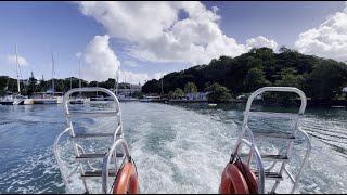 Coral reefs of St Lucia  December 2024