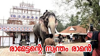 തെച്ചിക്കോട്ടുകാവ് രാമചന്ദ്രൻ THECHIKOTTUKAVU RAMACHANDRAN CHEERAKUZHI POORAM 2025