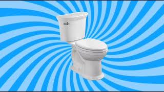 Toilet Flush Sound Effect - High Quality Flushing