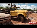 idoso de 70 anos tinha uma paixão por uma parte da leitoa que lhe levou para um lugar sem volta