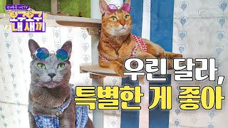 [오구오구 내 새끼] EP19 - 우린 달라, 특별한 게 좋아