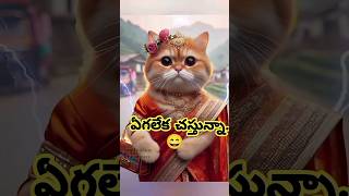 😂 ఫ్రస్ట్రేషన్ సార్.. 😂#funny #comedy #trending #viral #viralvideo #shortsfeed #cat