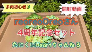 【多肉植物】【多肉初心者🔰】reoreoOreoさん4周年記念セット開封します❣️