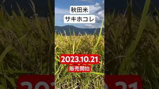 秋田米サキホコレ販売開始まであと７日