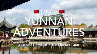 Yunnan 2023 | Day 6 | Kunming Old Street Market | Green Lake Park | 昆明花鸟市场 | 翠湖 | 蔼若春滇菜