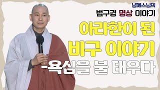 아라한이 된 비구 이야기 [념혜스님의 법구경 명상 이야기] #념혜스님 #법구경 #명상