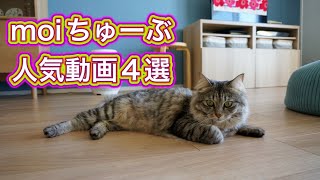 moiちゅーぶ人気動画4選