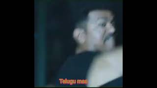 thalapathi Vijay mass video and thalapathi Vijay photo video and fight scene and dance videos
