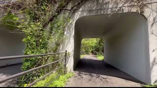 『アラフォーひとり旅』新緑の立川　国営昭和記念公園に行って来た