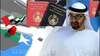 DAAWO. MAXAA KA JIRA IN IMAARAADKU AQOONSADAY BAASABOORKA SOMALILAND ?