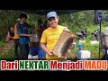 Madu Akasia, dari nektar menjadi madu.