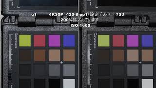 α1　vs　7S3　ノイズ比較テスト　4k30p　ピクチャープロファイルPP1