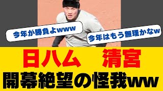 緊急速報!!清宮幸太郎、自主トレ中断の真実!!柳田との秘密の練習も途絶える...キャンプ入り前の不安要素とは!?