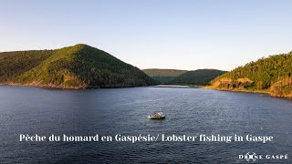 Pêcheur de homard en Gaspésie