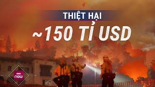 Thế giới toàn cảnh: Cháy rừng như \