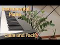 Calm and Peaceful Piano | Instrumental Music to Calm and Pacify