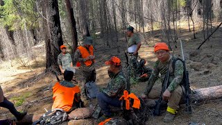 Hmong Hunting Deer A Zone  - Yos Hav Zoov Tua Mos Lwj