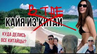 Приключение китайцев в Тайланде🇹🇭 куда пропали все китайцы?? Почему китайцы бакотируют Тай?