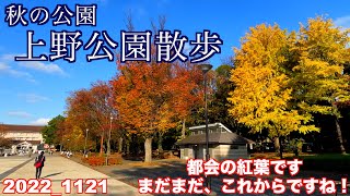 11月の後半です、上野公園の紅葉を見に行きました。