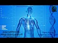 அக்குபங்க்சர் அடிப்படை விளக்கம் | what is acupuncture? | வரதராஜன் | apkacuastroacademy