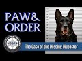 Paw & Order: The Case of the Missing Muenster