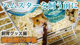 【初心者必見】ゴールデンハムスターを飼う時に必要な飼育グッズ7点を紹介！