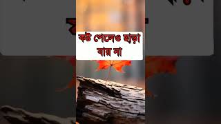 ঘৃণা করা যায় না 😢🥀 #ytshorts_ #fypシ #kalochaya1m