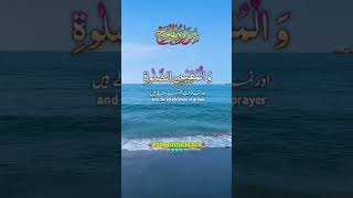 Beautiful قرآن Recitation تلاوت #quranrecitation #translation #راحة_نفسية  #تلاوت_قرآن_کریم #viral