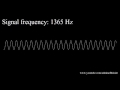 espectro audível do ser humano 20hz a 20khz