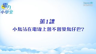 《電力小學堂》第1課 小鳥站在電線上會不會變鳥仔巴？