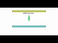 how to make cdna animation