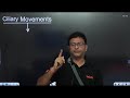 locomotion and movement one shot neet 2025 manish dubey neet2025 locomotionandmovement pw