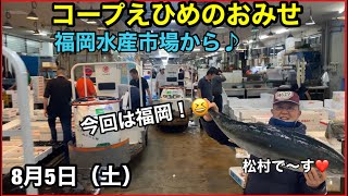 松山市 新居浜市 今治市 スーパー おすすめ 野菜 魚 肉 惣菜 新鮮 安い 品揃えがいい　#生活協同コープえひめ　#長浜市場　#元祖長浜屋