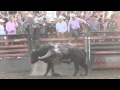 Shay Marks vs. 050 Attitude Dude (PBR)