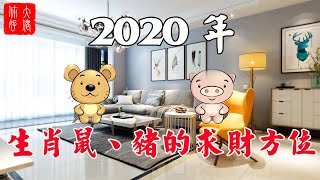 【生肖】2020年生肖鼠和豬的求財方位，財位找得準財運升的快，來看看你該如何求財！