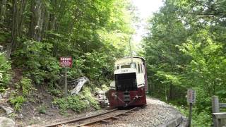 赤沢森林鉄道　トロッコ列車(車外から)